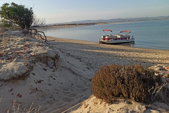 Nature Catamaran Tour from Faro - Why a 1-hour Catamaran Works So Well in Faro