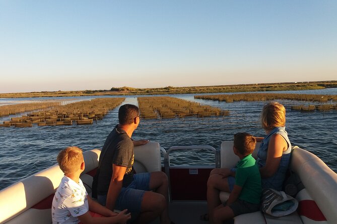 Nature Catamaran Tour from Faro - Ria Formosa Natural Park: What You’ll Experience on the Stop