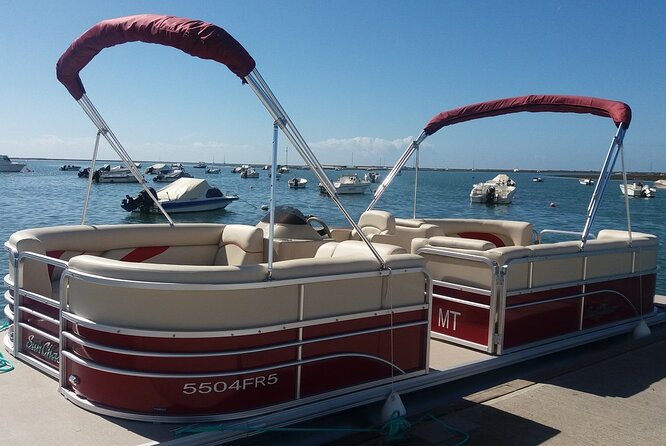 Nature Catamaran Tour from Faro - What I’d Pair It With in Your Faro Day Plan