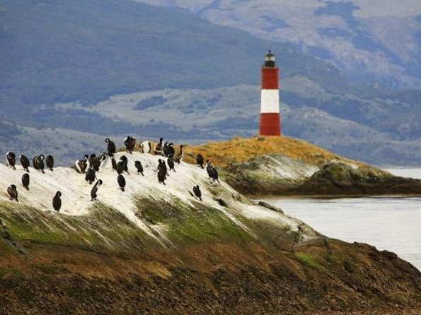 Navigate through the Beagle Channel: Seal, Bird & Penguin Islands - Key Things to Know Before You Go