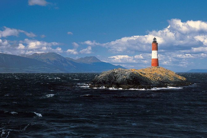 Navigate through the Beagle Channel: Seal, Bird & Penguin Islands - Why the Beagle Channel Feels Like a Real Nature Show