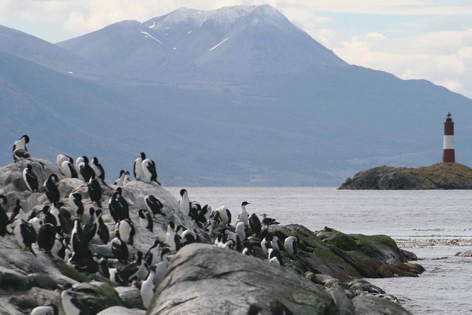 Navigate through the Beagle Channel: Seal, Bird & Penguin Islands - Crossing Toward Chile: Gable Island and Puerto Williams Naval Views