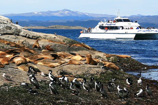 Navigation to Beagle Channel and Sea Lions Island with Transfers - The smooth part: hotel pickup to Don Eduardo Arturo Brisighelli pier