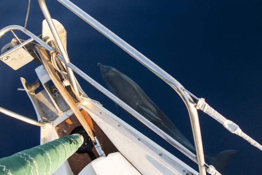 Naxos: Full-Day Small Cyclades Sailing Cruise - Price and Value: What $165 Buys You