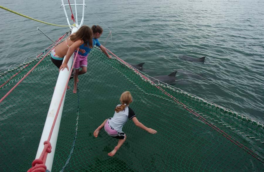 Nelson Bay: Dolphin Watch Cruise and Sail - Dry Bow-Net vs Wet Boom-Net: The Two Ways to Get Closer