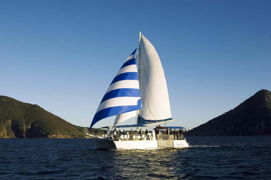 Nelson Bay: Dolphin Watch Cruise and Sail - 360-Degree Views and a Catamaran Advantage