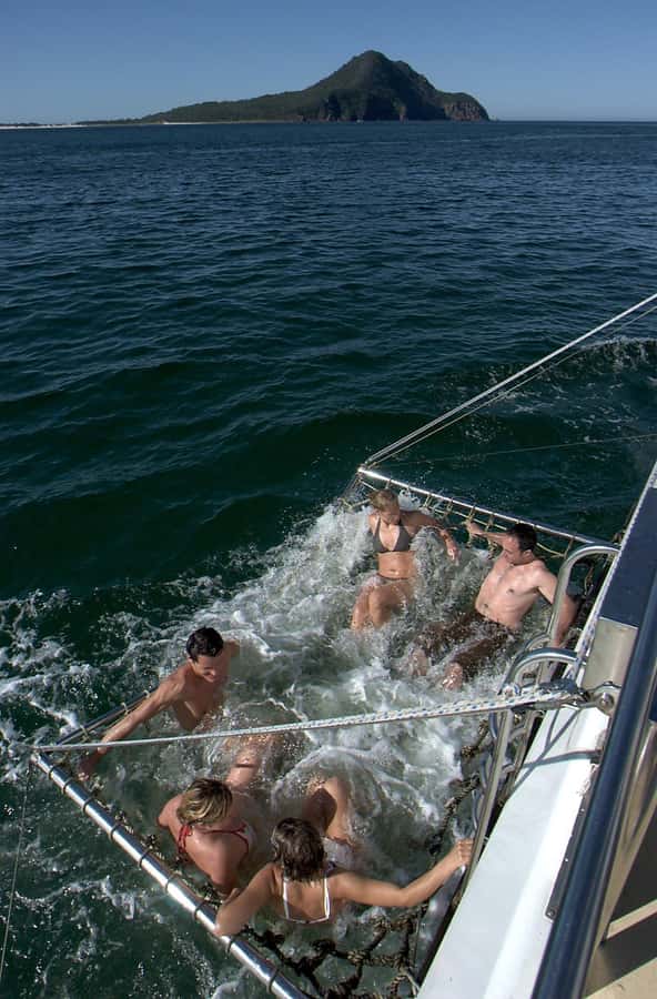 Nelson Bay: Dolphin Watch Cruise and Sail - Price and Value: Is $35 Worth It for 90 Minutes?