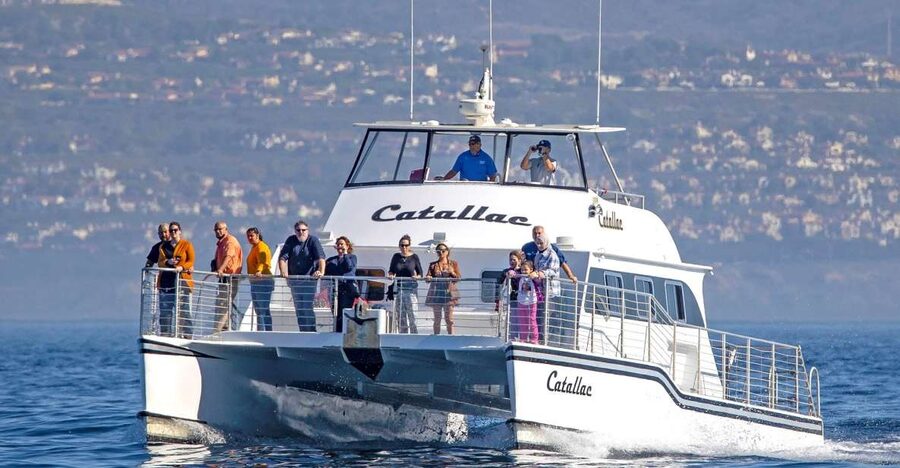 Newport Beach: Luxury Whale Watching Catamaran Cruise - Getting your bearings at 400 Main St (and why it helps)