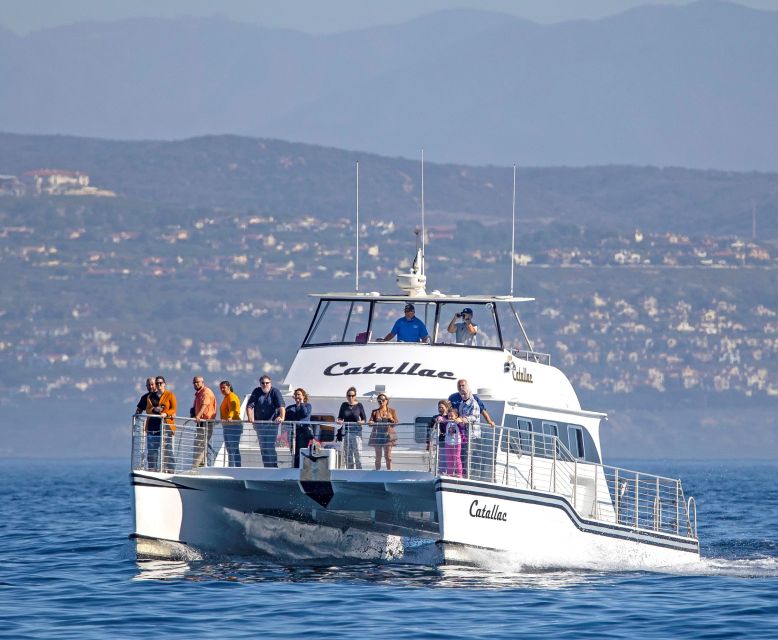 Newport Beach: Luxury Whale Watching Catamaran Cruise - Laguna Beach and The Wedge: a scenic closer that keeps you watching