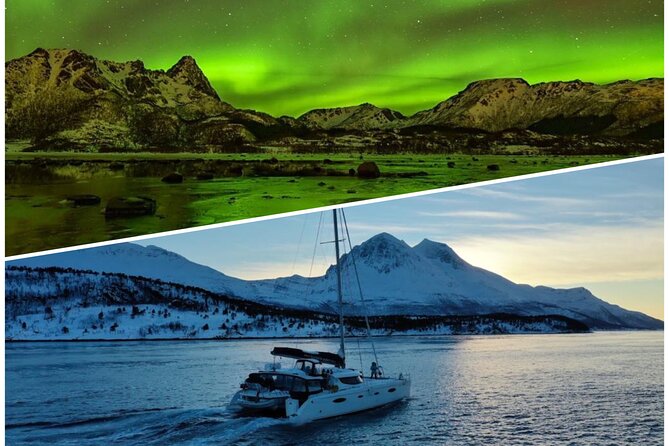 Northern Light Cruise With Luxury Catamaran in Tromso, Norway - Key Points to Know Before You Go