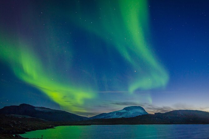 Northern Lights Yacht Cruise in Reykjavik - Old Harbour House: getting started without the stress