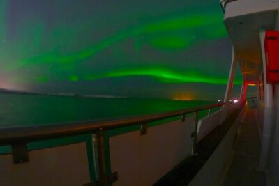 Northern Lights Yacht Cruise in Reykjavik - Your route: Reykjavik coastline views plus real whale odds