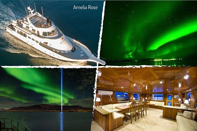 Northern Lights Yacht Cruise in Reykjavik - When the northern lights don’t show: how the return ticket works