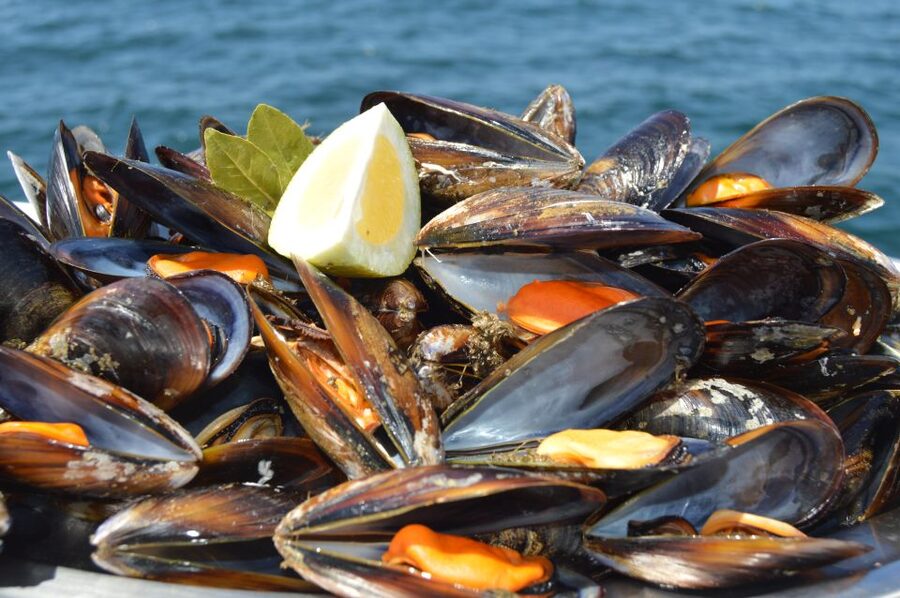 O Grove: Ría de Arousa Catamaran Tour with Seafood Lunch - Price and value: what $46 buys you in Galicia