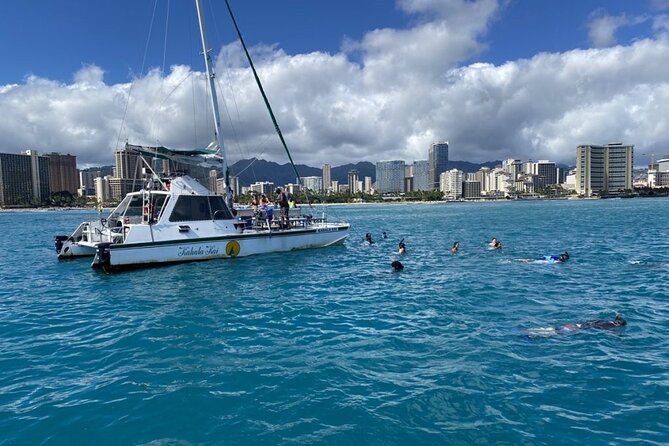 Oahu Catamaran Snorkel Tour: See Turtles 100% Guaranteed - Turtle Canyon Reef: what green sea turtles are like up close
