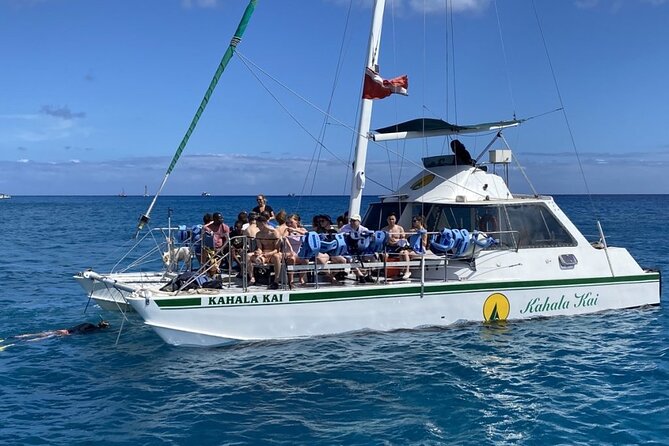 Oahu Catamaran Snorkel Tour: See Turtles 100% Guaranteed - Practical tips so your Turtle Canyon day runs smoothly