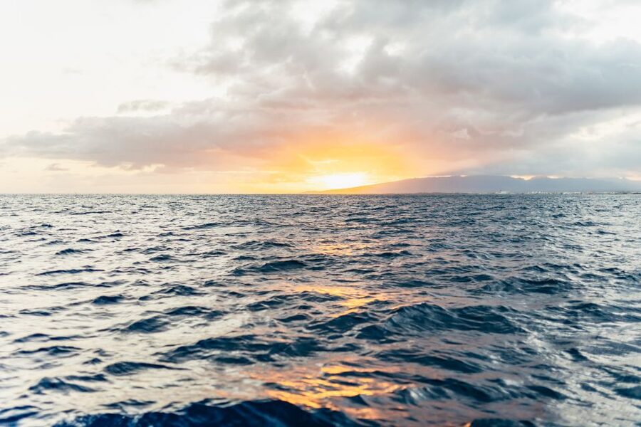 Oahu: Waikiki Sunset Catamaran Cocktail Cruise - Finding Hanu Lani at Kewalo Basin: The Practical Stuff
