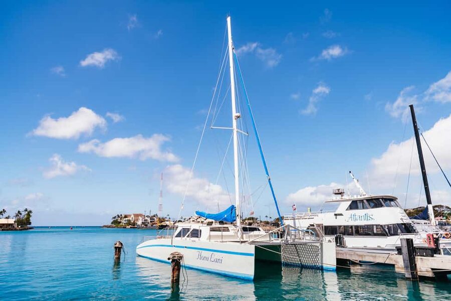 Oahu: Waikiki Turtle Snorkel Sail - From Kewalo Basin Harbor to the Reef: How the 2–3 Hours Usually Flow