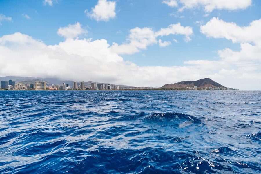Oahu: Waikiki Turtle Snorkel Sail - Should You Book the Waikīkī Turtle Snorkel Sail?