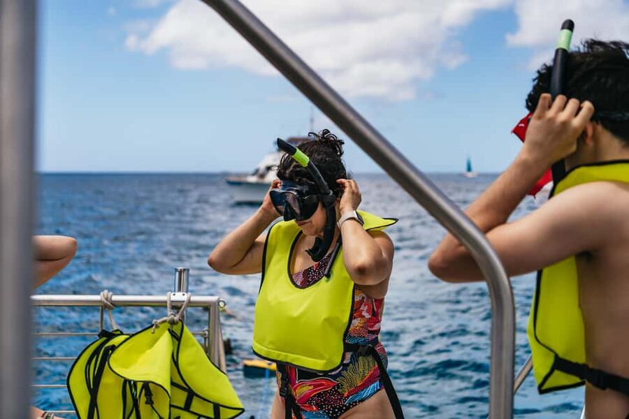 Oahu: Waikiki Turtle Snorkel Sail - Snorkeling for Honu and Tropical Fish: Your Underwater Chances