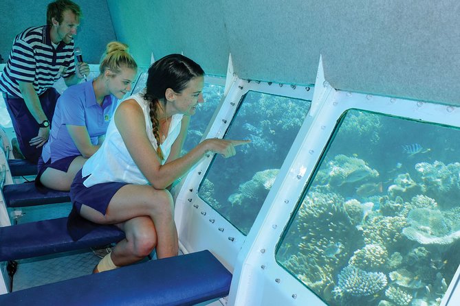 Ocean Spirit Sail to Michaelmas Cay Snorkel or Dive, from Cairns - Michaelmas Cay ashore: 4 hours, sand snorkel, and fish-feeding style programming