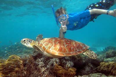 Ocean Spirit Sail to Michaelmas Cay Snorkel or Dive, from Cairns - The ride out: safety demo, reef brief, and the marine biologist talks