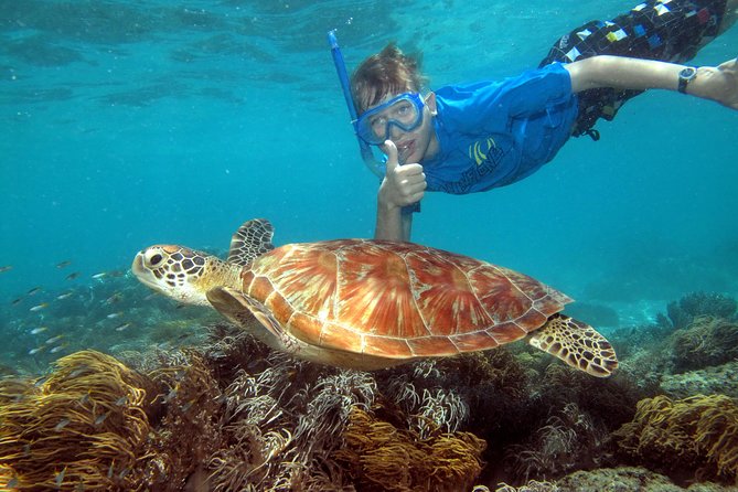 Ocean Spirit Sail to Michaelmas Cay Snorkel or Dive, from Cairns - The ride out: safety demo, reef brief, and the marine biologist talks