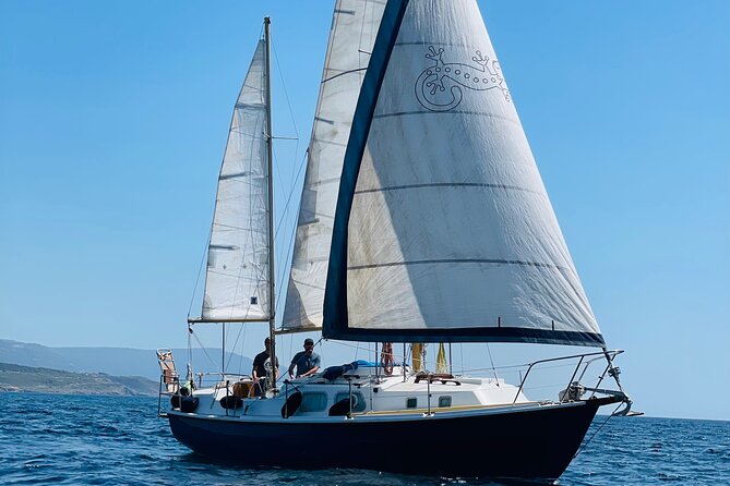One day excursion on a sailing boat in the Gulf of Alghero - Key Highlights You’ll Care About