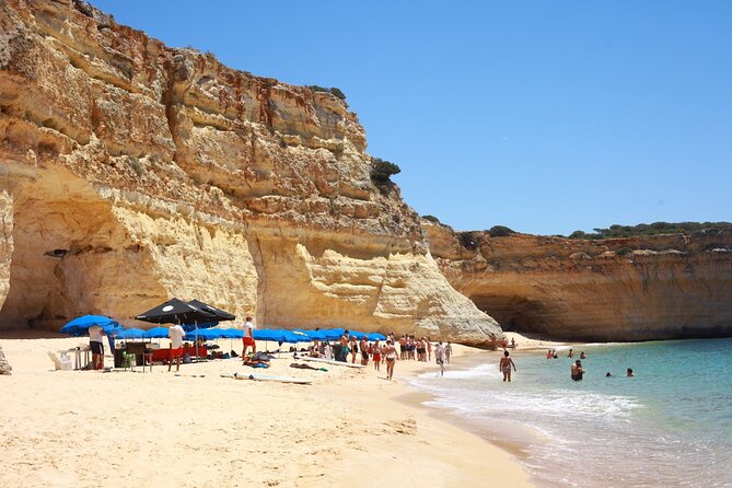 Ophelia Catamaran Cruises + Beach BBQ - The private beach BBQ: lunch on sand, shade setup, and swim time