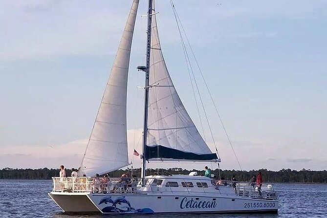 Orange Beach Dolphin Sailing Cruise aboard Catamaran - Practical Tips for a Smooth Day at the Wharf