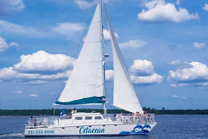 Orange Beach Dolphin Sailing Cruise aboard Catamaran - The Cetacean’s Two-Hull Design: Comfort You Can Feel