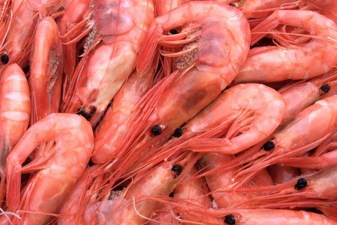 Oslo Fjord Evening Cruise with Shrimp Buffet on a Sailing Ship - Staff, Atmosphere, and the Real Value of This Evening Plan