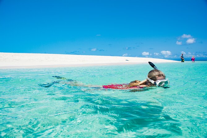 Outer Reef Mackay Cay Sail & Snorkel Adventure from Port Douglas - Glass-bottom boat tour: coral viewing without the full effort
