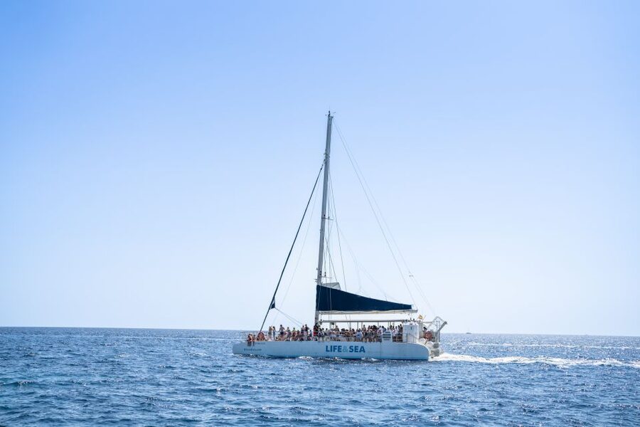Palma: Catamaran Cruise with Swimming and Snorkelling - Key things to know before you go