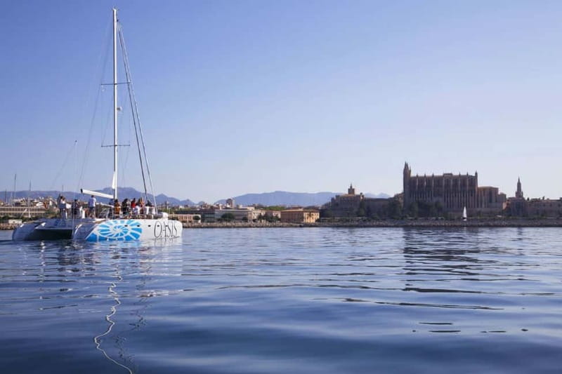 Palma de Mallorca: Deluxe Catamaran Sailing Tour with Meal - Small group advantage: space, toilets, and a calmer vibe