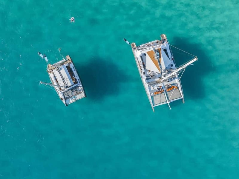 Palma de Mallorca: Half-Day Catamaran Tour with Buffet Meal - First Contact in Palma: Getting on the Catamaran Without Headaches