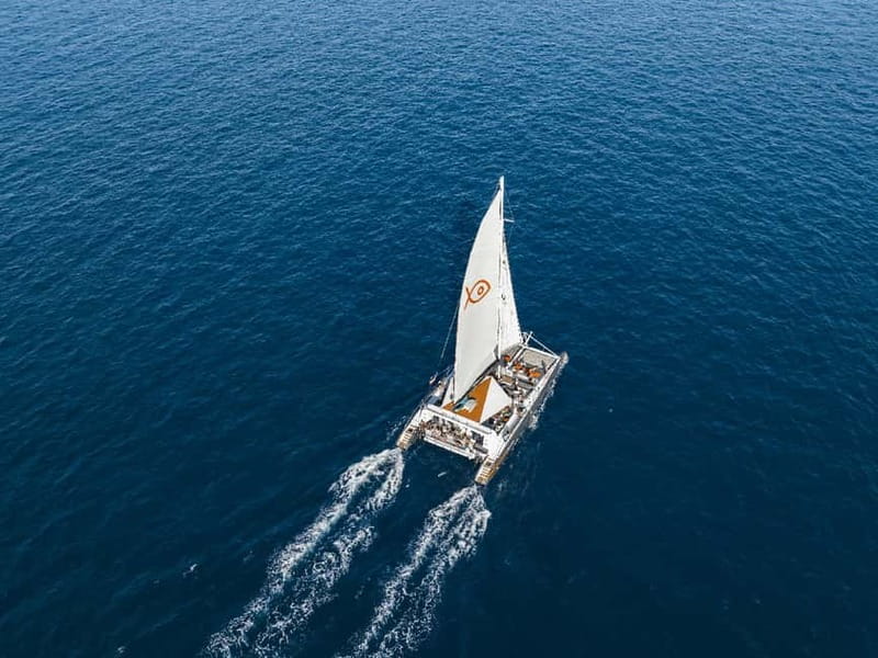 Palma de Mallorca: Half-Day Catamaran Tour with Buffet Meal - Cala Vella Swim Stop: The Main Reason People Book