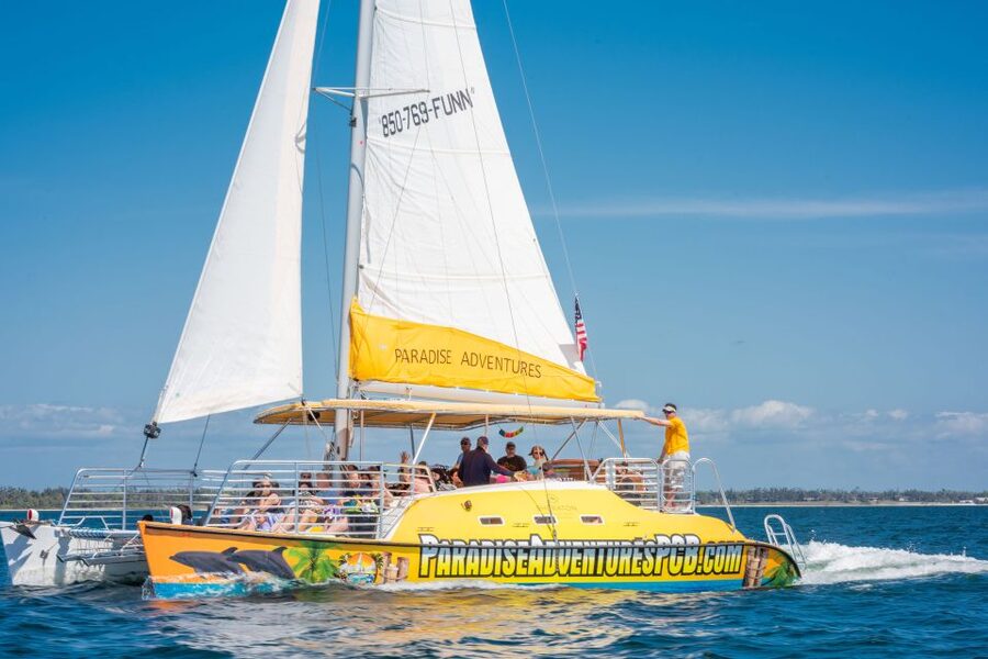 Panama City Beach: Dolphin Sightseeing Trip by Catamaran - Key Things I’d Pick Up Before You Go