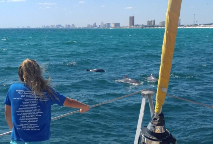 Panama City Beach: Dolphin Sightseeing Trip by Catamaran - When Dolphins Show Up: What to Watch For, and What to Expect