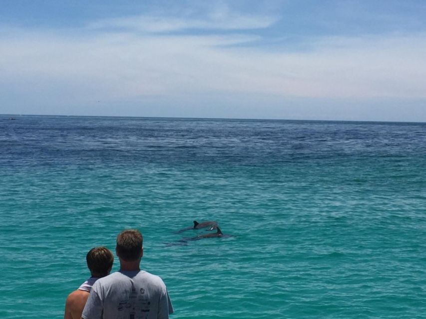 Panama City Beach: Dolphin Sightseeing Trip by Catamaran - Price and Value: Why $38 Can Make Sense (If You Go in With the Right Mindset)