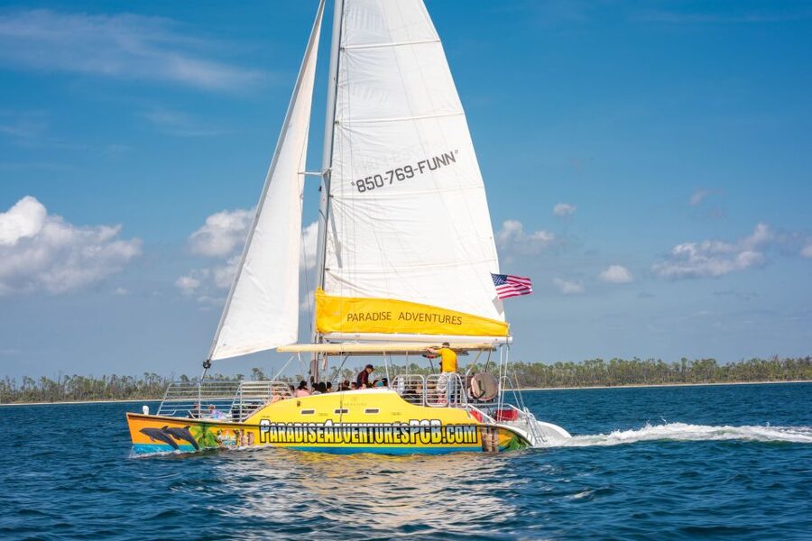 Panama City Beach: Dolphin Sightseeing Trip by Catamaran - Weather, Timing, and the Smart Way to Plan Your Day