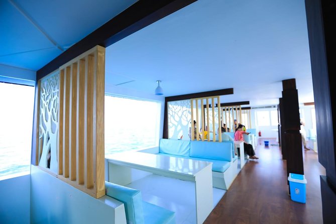 Paradise Catamaran Conquest 2 Hours Semi Submarine & snorkeling - Hurghada - Who should book this Hurghada semi-submarine tour?