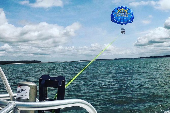 Parasailing Adventure at the Hilton Head Island - Dolphins and Wildlife: How to Spot Them Without Stress