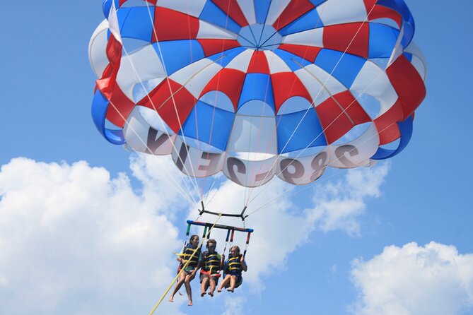 Parasailing Adventure In Bradenton Beach & Anna Maria Island, FL - Wildlife From Above: Dolphins, Turtles, and Stingrays