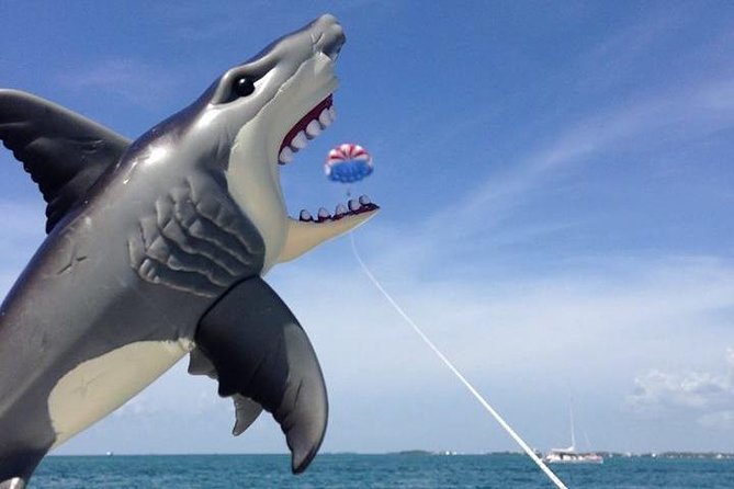 Parasailing over the Historic Key West Seaport - Stop 3: Florida Keys National Marine Sanctuary and Possible Wildlife Moments