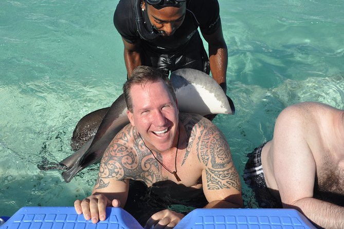 Parasailing, Snorkel Cruise & Virgen Beach from Punta Cana - The sharks and stingray encounter: short swim time, big feelings