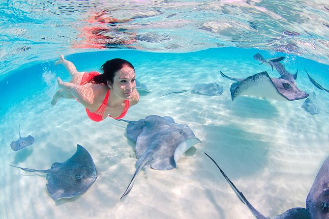 Parasailing, Snorkel Cruise & Virgen Beach from Punta Cana - Virgen Beach finish: why seaweed and weather can change the outcome