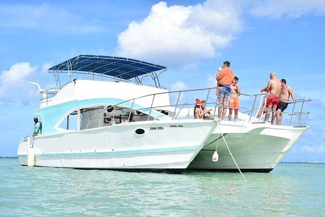 Party Boat Catamaran with Snorkeling from Punta Cana - Dolphins from afar: the quick sighting moment
