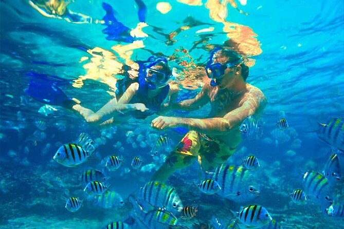 Party Boat Catamaran with Snorkeling from Punta Cana - Drinks and snacks: what’s included, what’s extra