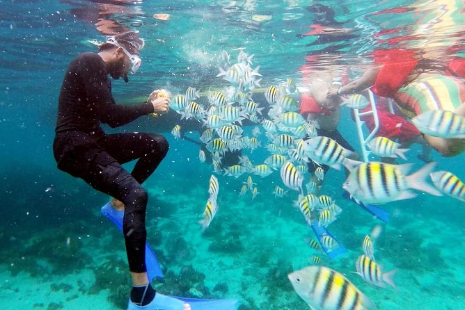 Party Catamaran: OpenBar, Music, Negril Beach, Caves, Snorkeling - The Cruise Atmosphere: Music, Hosts, and That Open-Bar Momentum